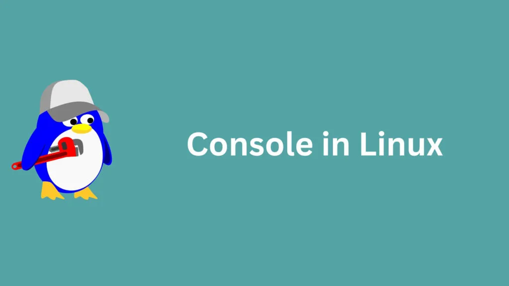 console in linux